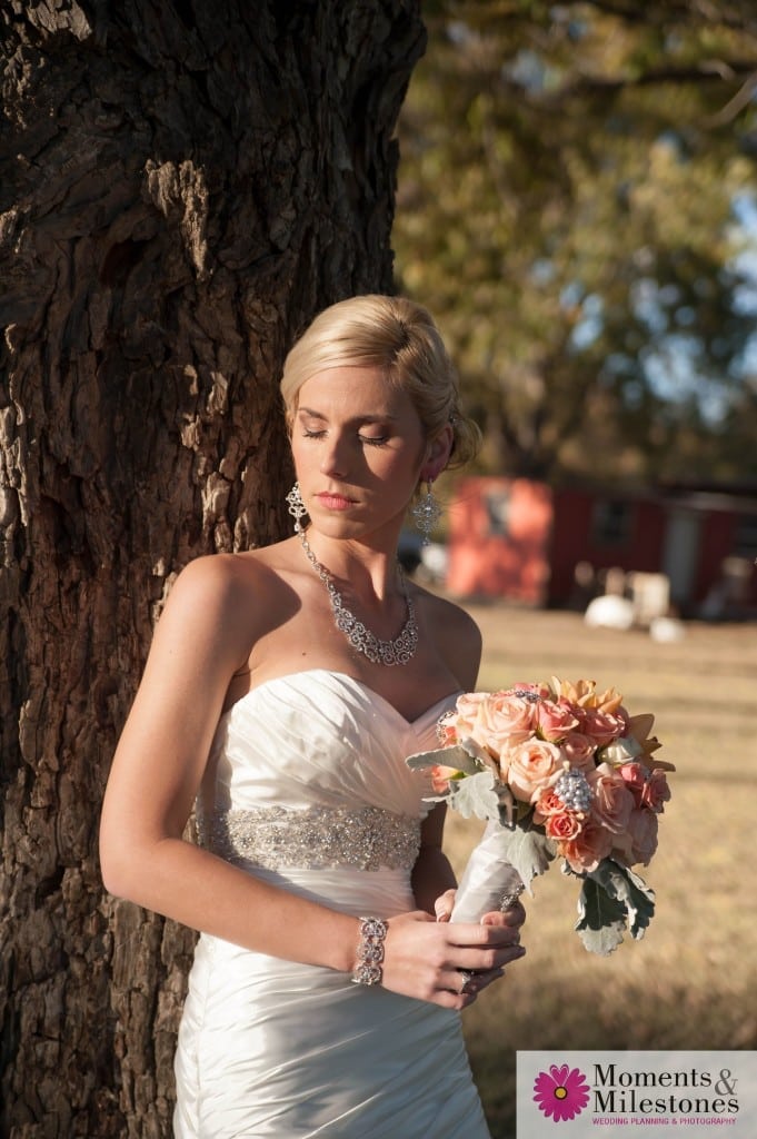 Country Bridal Session