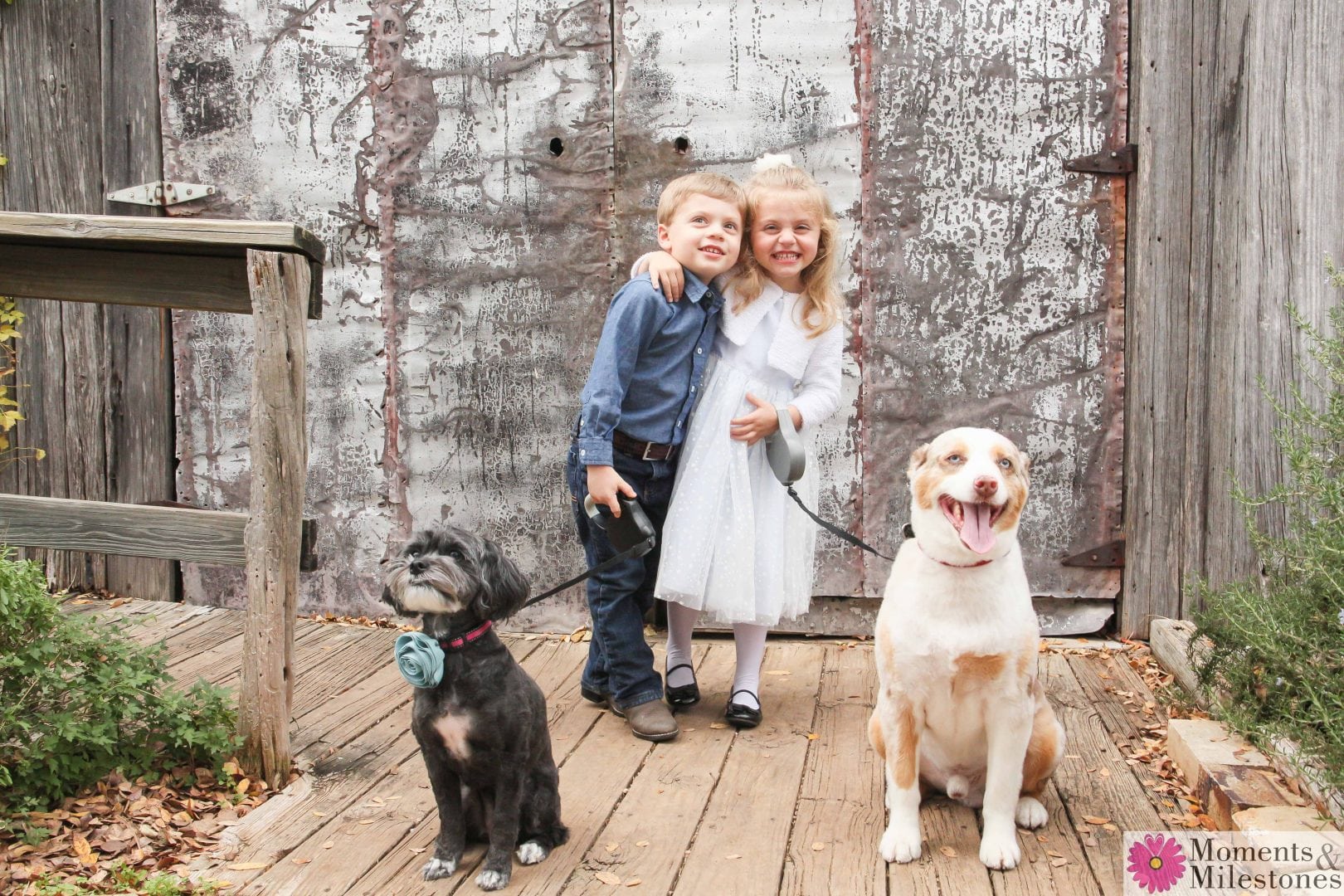 Play Time With the Click Family Photography in Gruene, Texas